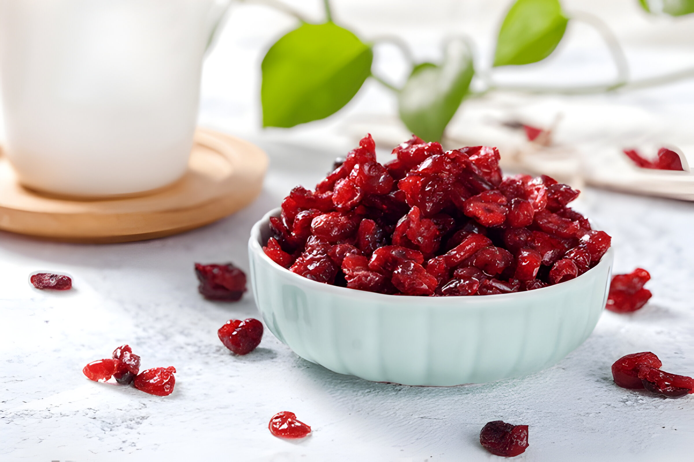 Benefits of Dry Cranberry